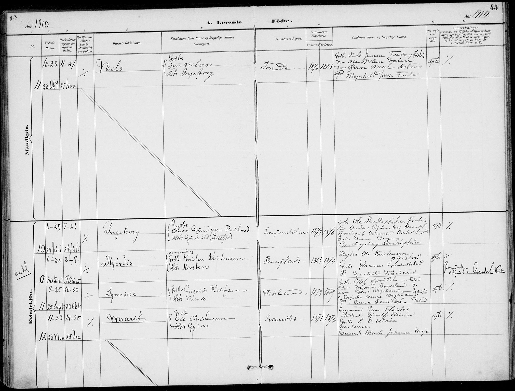 Austre Moland sokneprestkontor, SAK/1111-0001/F/Fa/Faa/L0011: Parish register (official) no. A 11, 1894-1915, p. 45