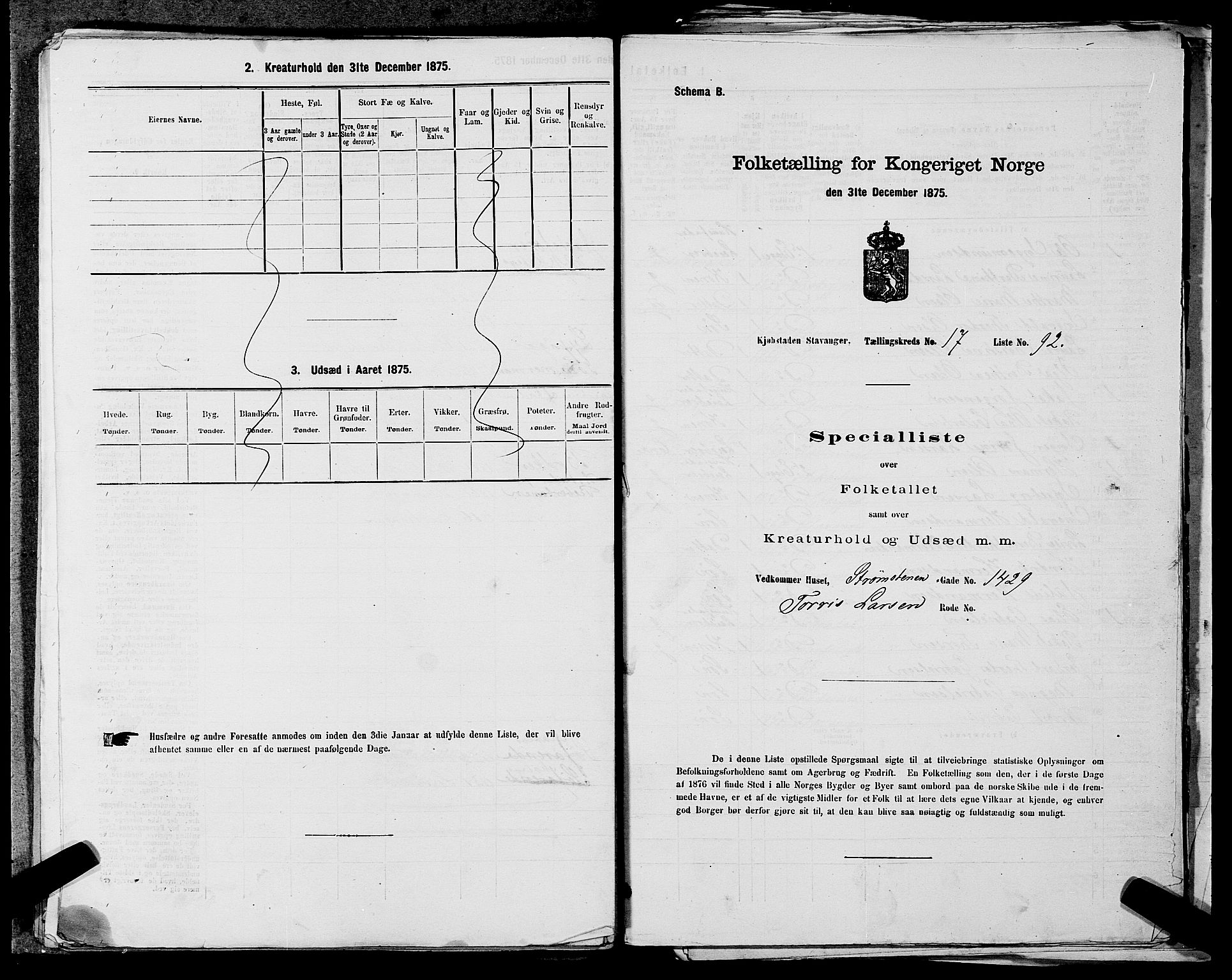 SAST, 1875 census for 1103 Stavanger, 1875, p. 3568