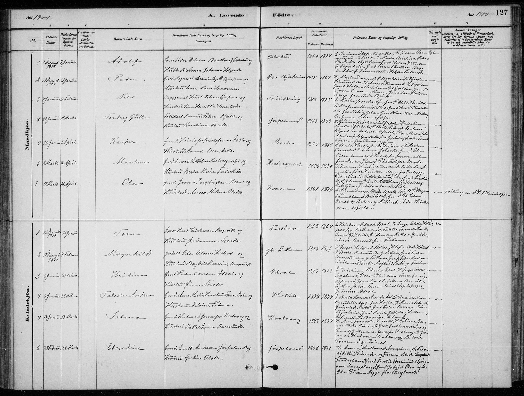 Strand sokneprestkontor, AV/SAST-A-101828/H/Ha/Hab/L0004: Parish register (copy) no. B 4, 1878-1903, p. 127