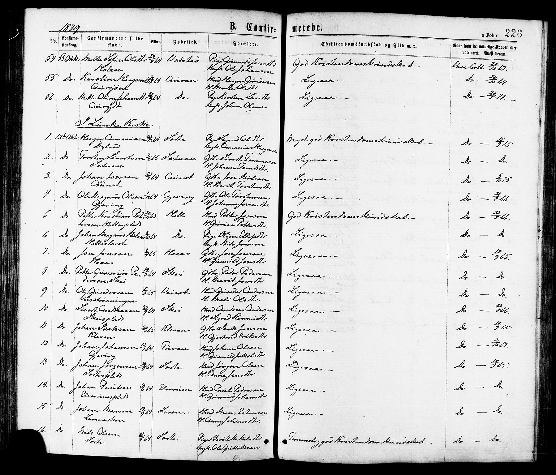 Ministerialprotokoller, klokkerbøker og fødselsregistre - Nord-Trøndelag, AV/SAT-A-1458/709/L0076: Parish register (official) no. 709A16, 1871-1879, p. 226