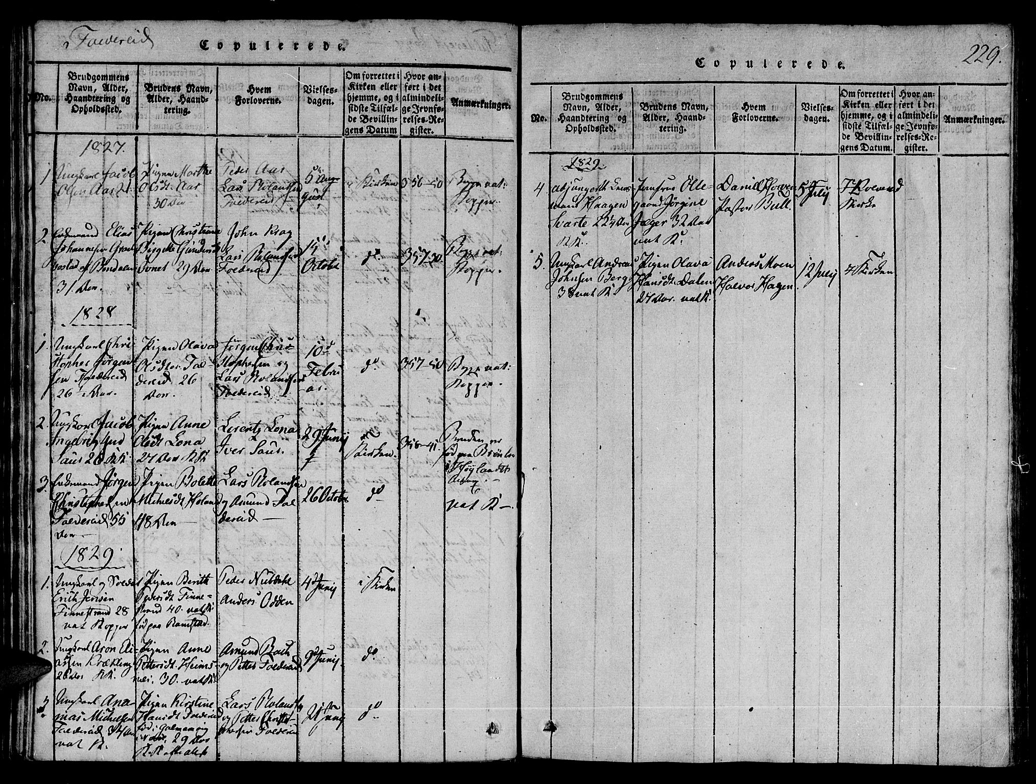Ministerialprotokoller, klokkerbøker og fødselsregistre - Nord-Trøndelag, SAT/A-1458/780/L0636: Parish register (official) no. 780A03 /3, 1815-1829, p. 229