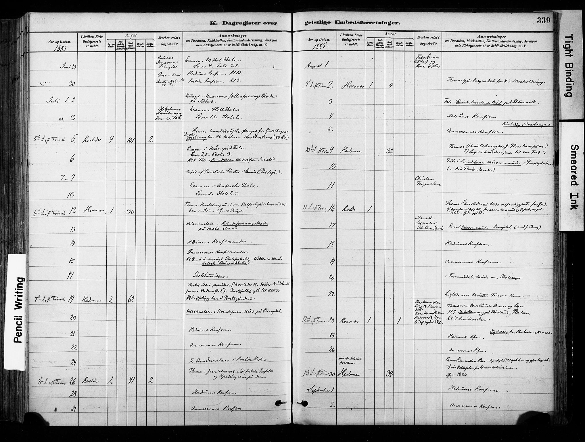 Hedrum kirkebøker, AV/SAKO-A-344/F/Fa/L0009: Parish register (official) no. I 9, 1881-1903, p. 339