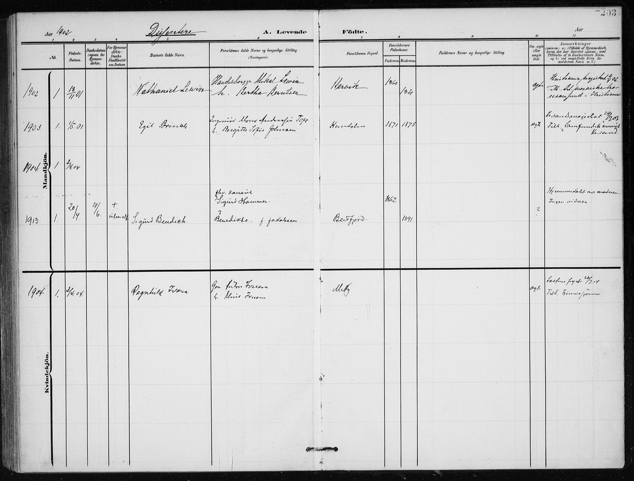 Ministerialprotokoller, klokkerbøker og fødselsregistre - Nordland, SAT/A-1459/866/L0941: Parish register (official) no. 866A04, 1901-1917, p. 203