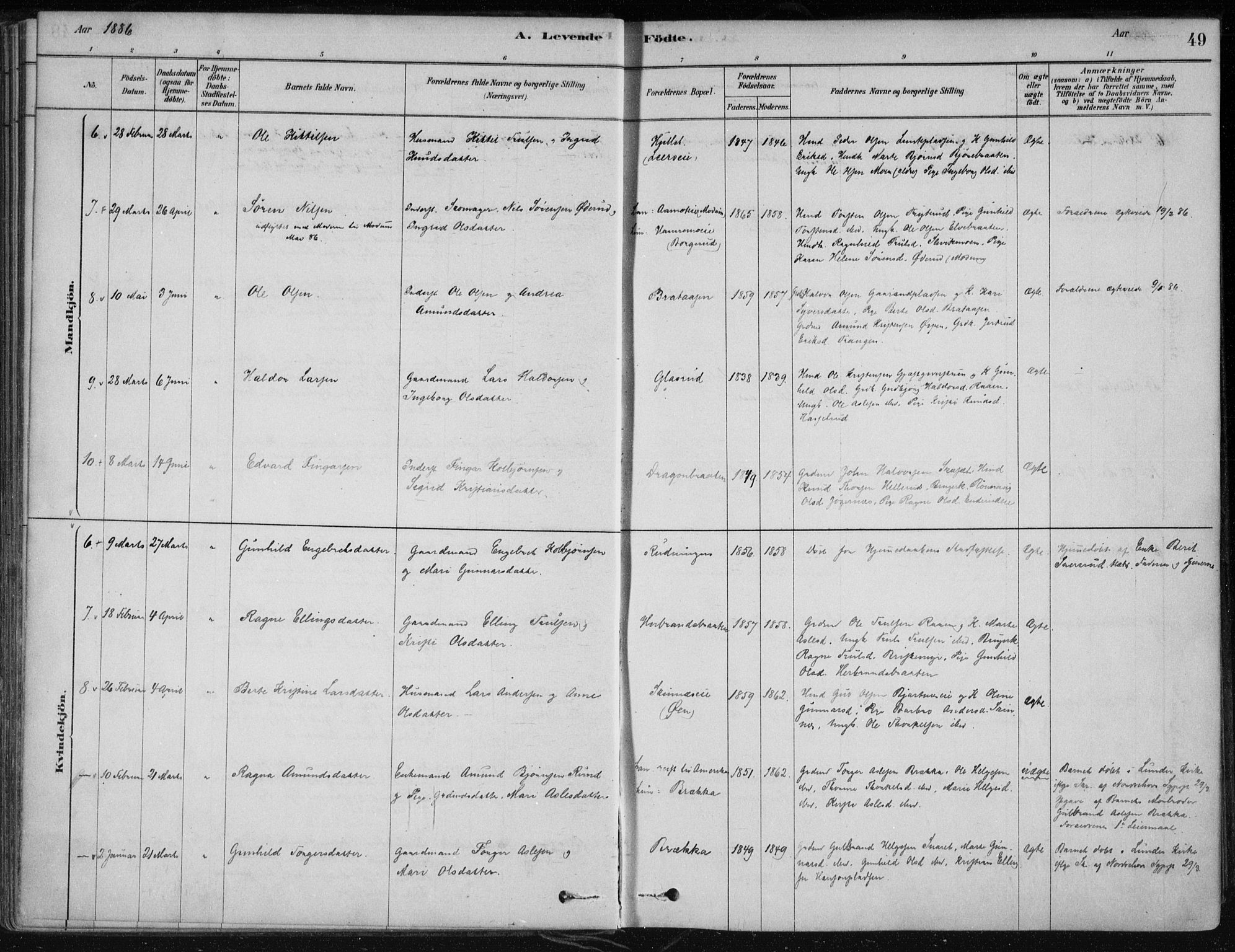 Krødsherad kirkebøker, AV/SAKO-A-19/F/Fa/L0005: Parish register (official) no. 5, 1879-1888, p. 49