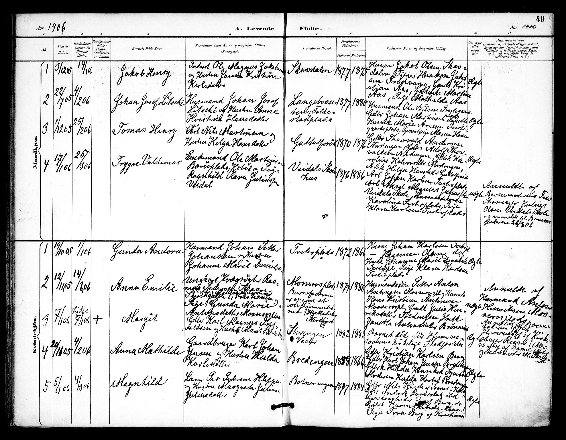 Våler prestekontor Kirkebøker, AV/SAO-A-11083/F/Fa/L0011: Parish register (official) no. I 11, 1893-1909, p. 49