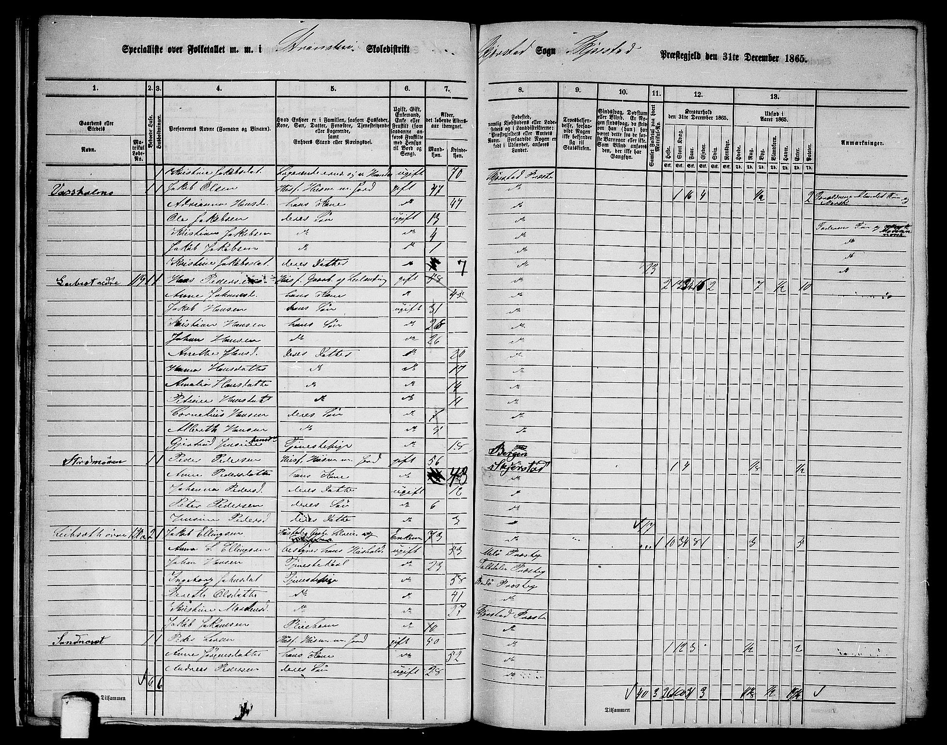 RA, 1865 census for Skjerstad, 1865, p. 25