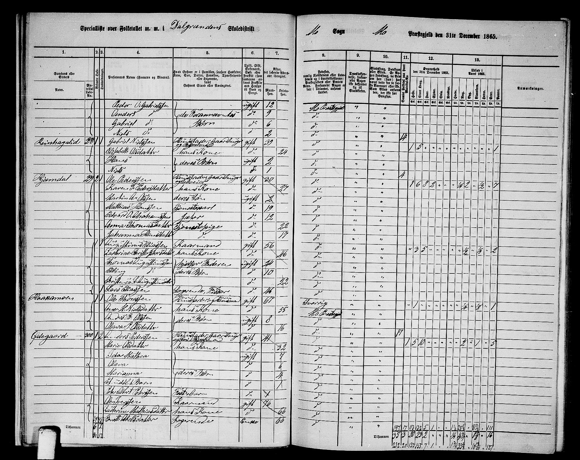 RA, 1865 census for Mo, 1865, p. 18