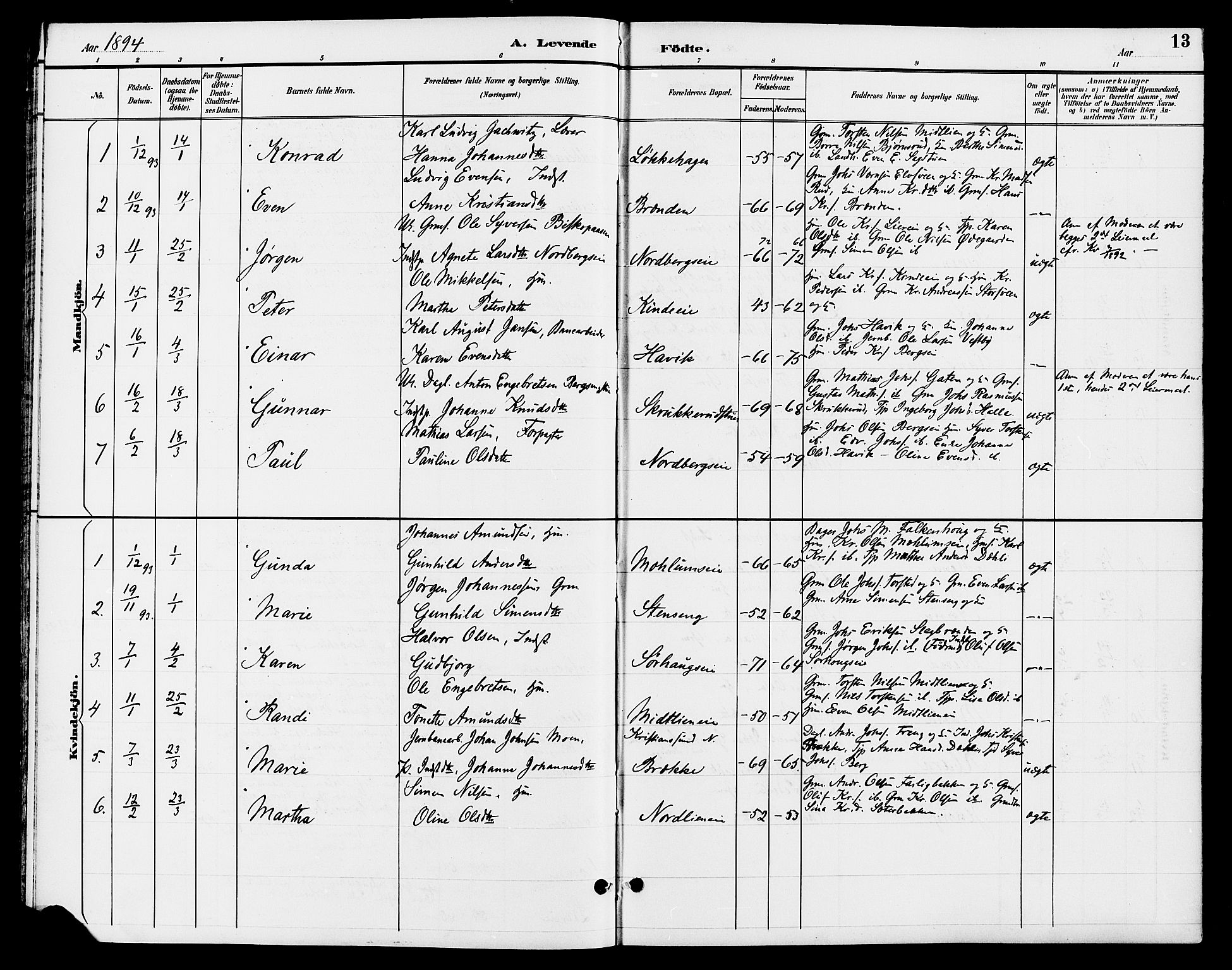 Ringsaker prestekontor, SAH/PREST-014/L/La/L0013: Parish register (copy) no. 13, 1891-1904, p. 13