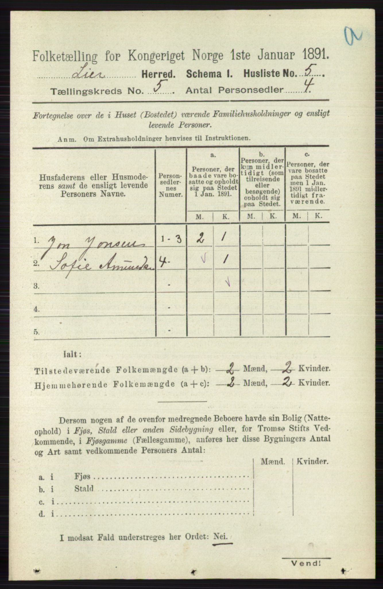 RA, 1891 census for 0626 Lier, 1891, p. 3219