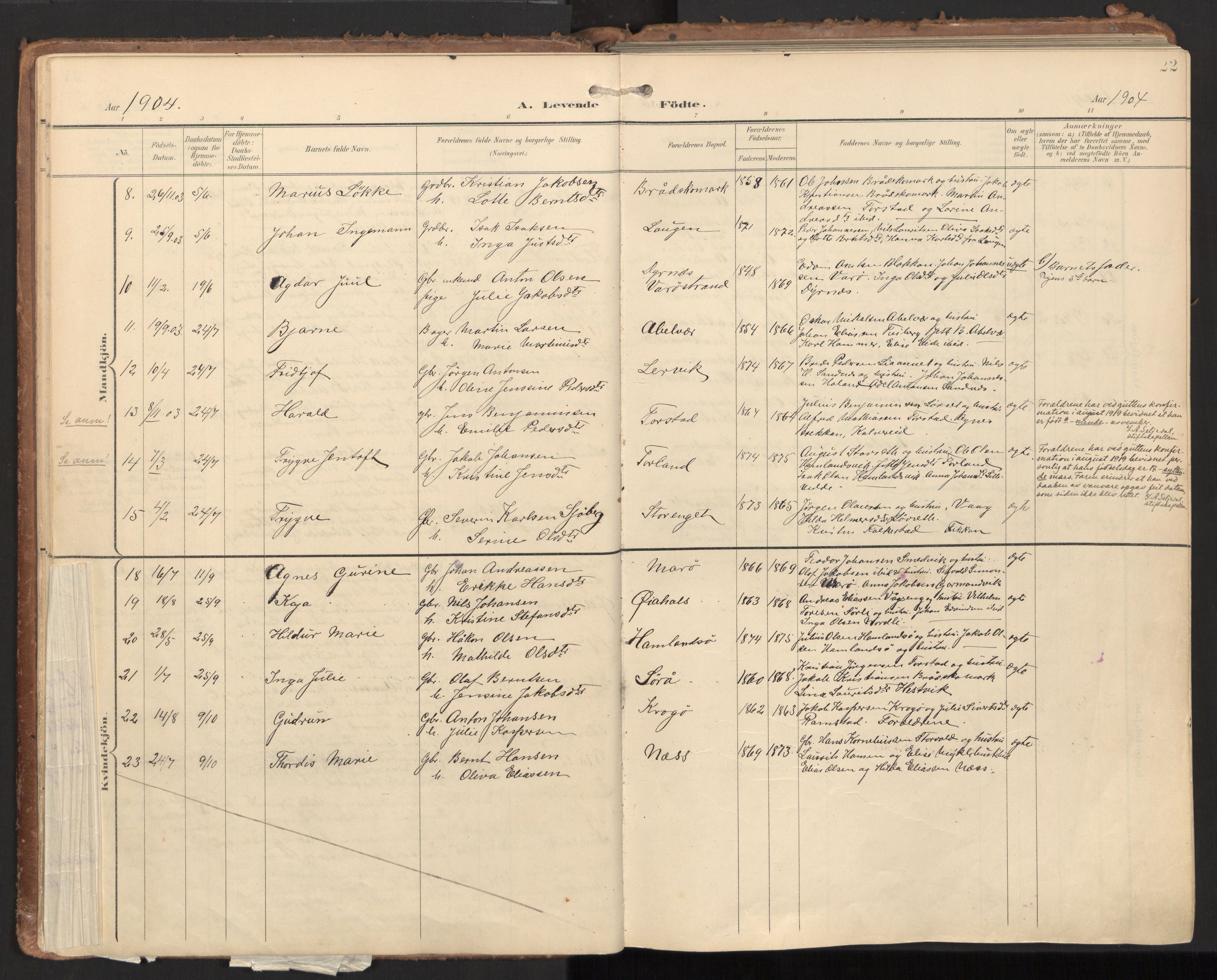 Ministerialprotokoller, klokkerbøker og fødselsregistre - Nord-Trøndelag, SAT/A-1458/784/L0677: Parish register (official) no. 784A12, 1900-1920, p. 22