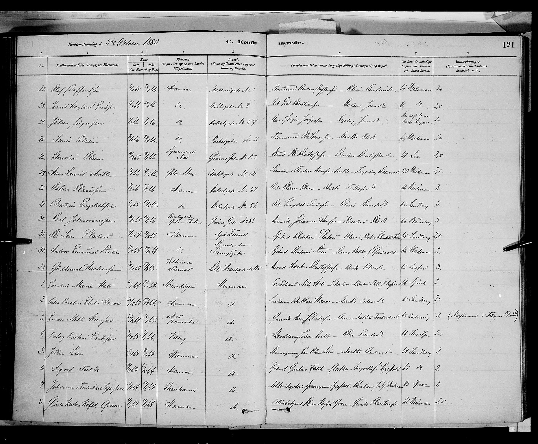 Vang prestekontor, Hedmark, AV/SAH-PREST-008/H/Ha/Haa/L0016: Parish register (official) no. 16, 1878-1889, p. 121