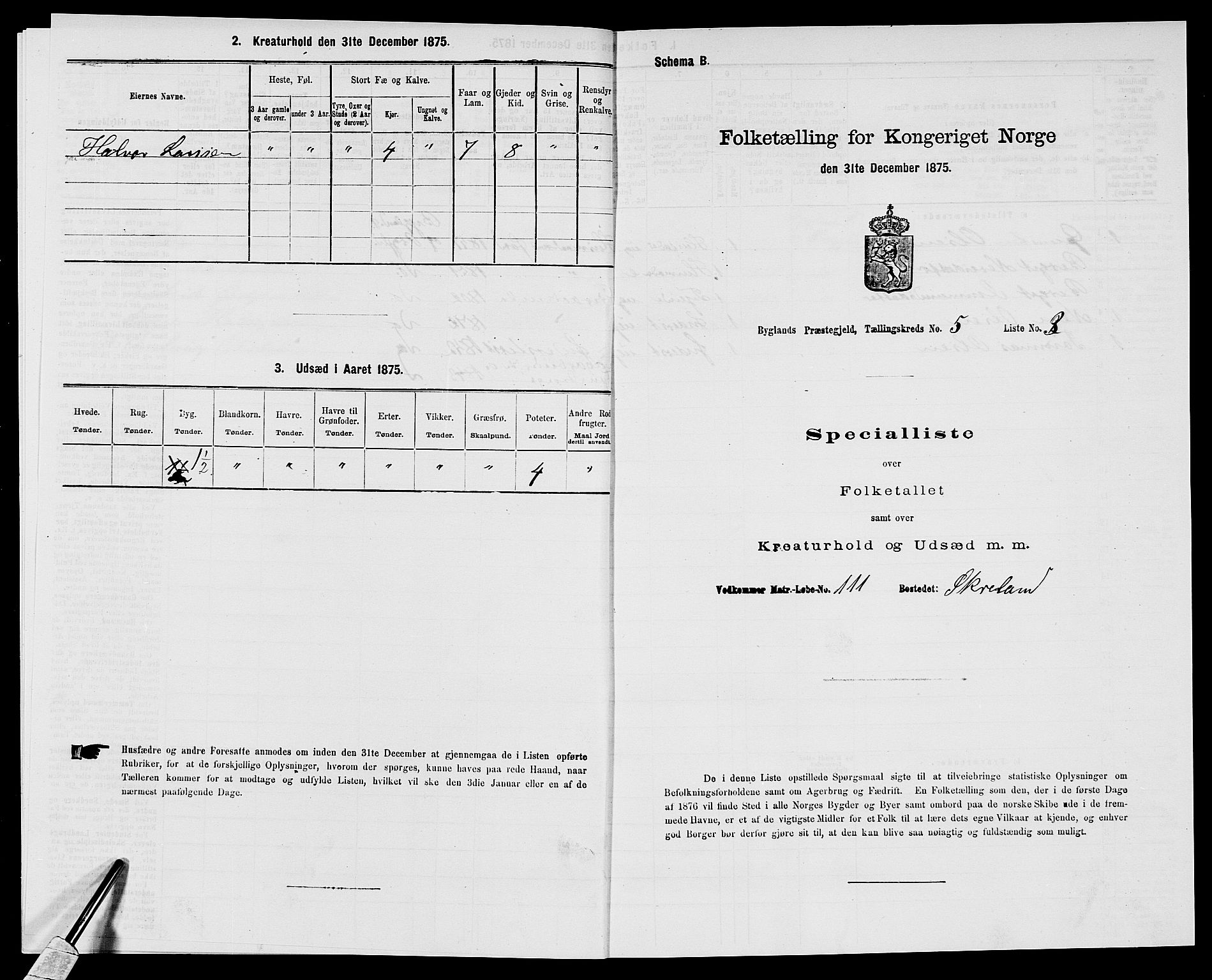 SAK, 1875 census for 0938P Bygland, 1875, p. 403