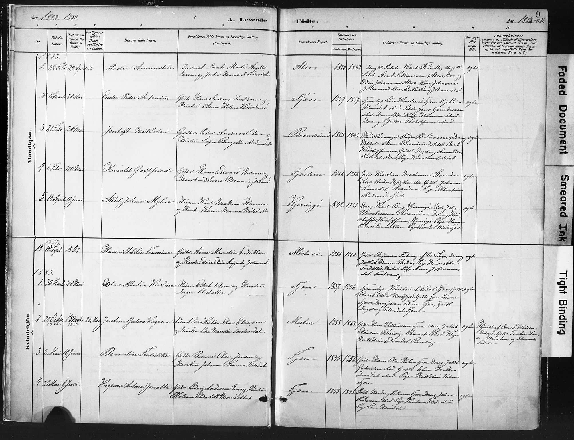 Ministerialprotokoller, klokkerbøker og fødselsregistre - Nordland, SAT/A-1459/803/L0071: Parish register (official) no. 803A01, 1881-1897, p. 9
