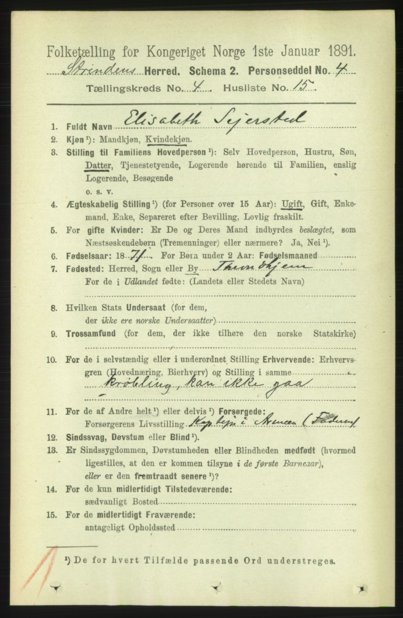 RA, 1891 census for 1660 Strinda, 1891, p. 4002