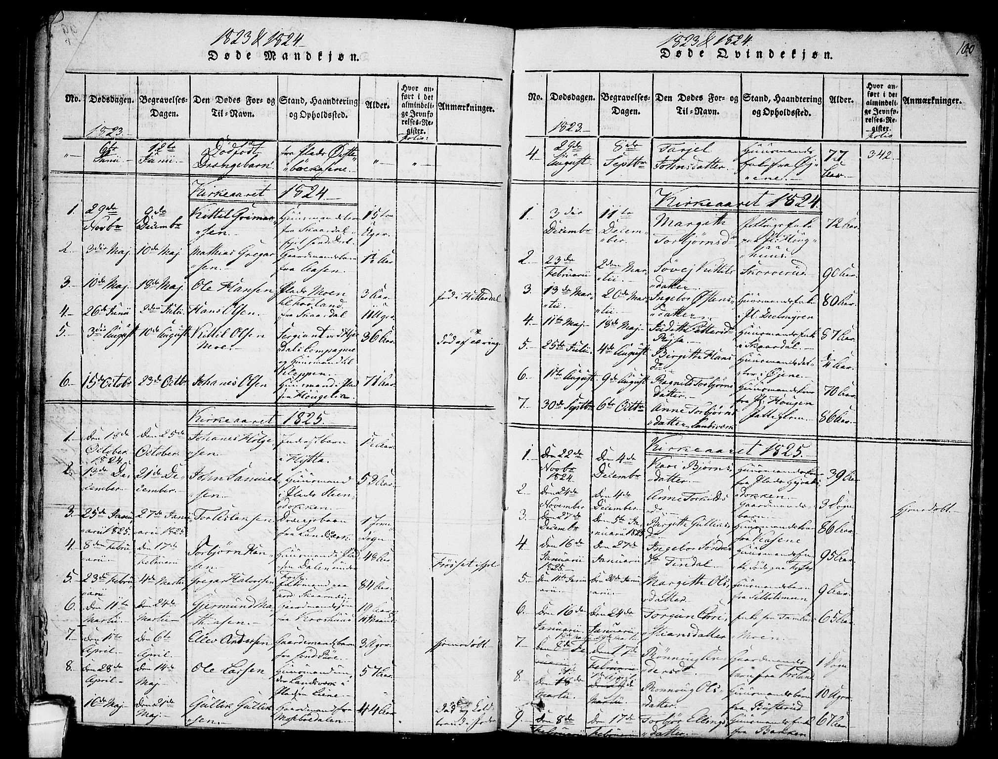 Hjartdal kirkebøker, SAKO/A-270/F/Fb/L0001: Parish register (official) no. II 1, 1815-1843, p. 100