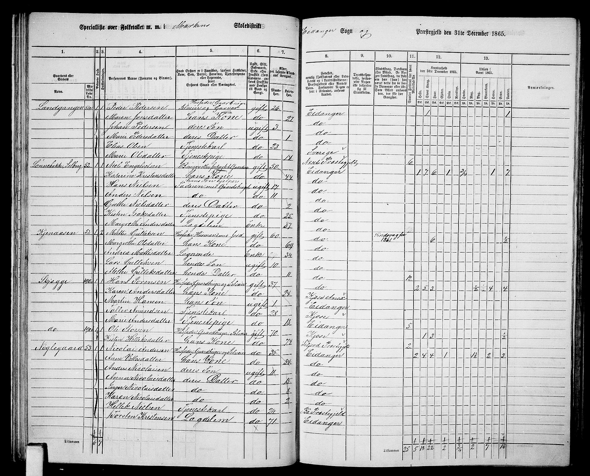 RA, 1865 census for Eidanger, 1865, p. 31