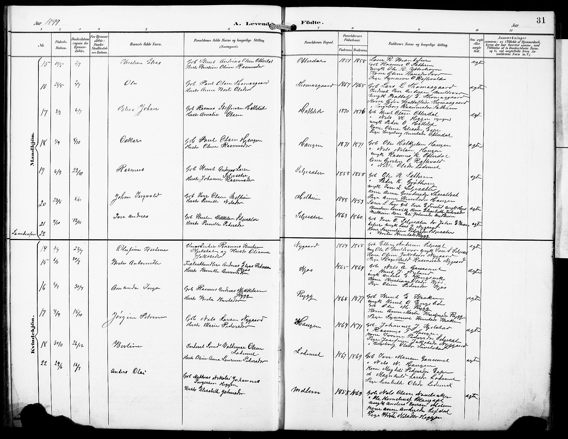 Hornindal sokneprestembete, SAB/A-82401/H/Hab: Parish register (copy) no. A 2, 1894-1927, p. 31