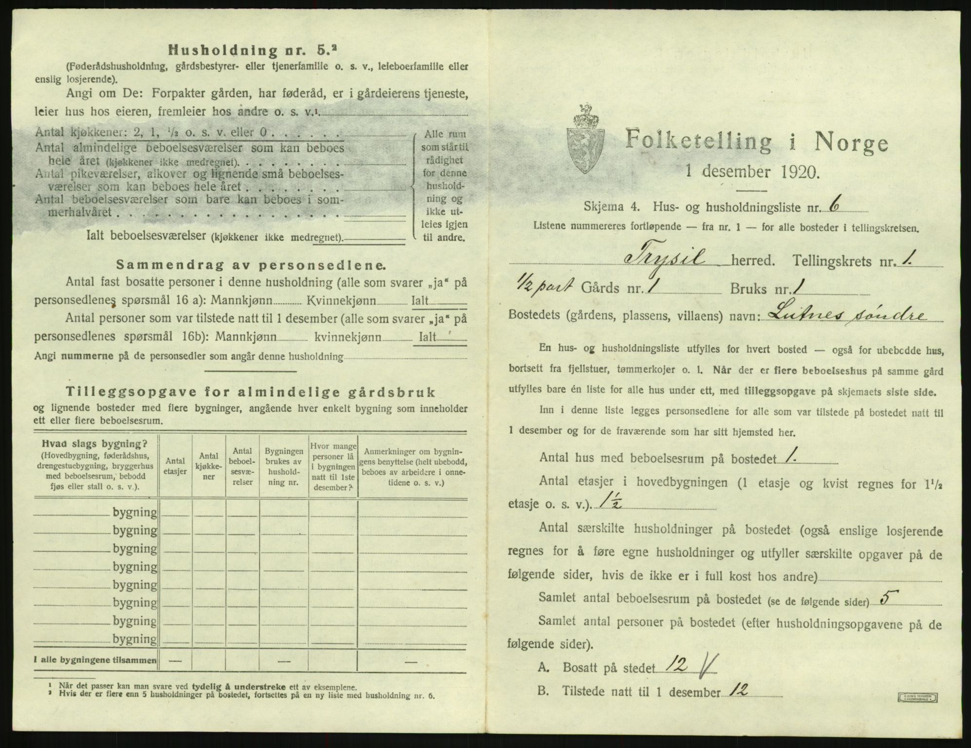 SAH, 1920 census for Trysil, 1920, p. 101