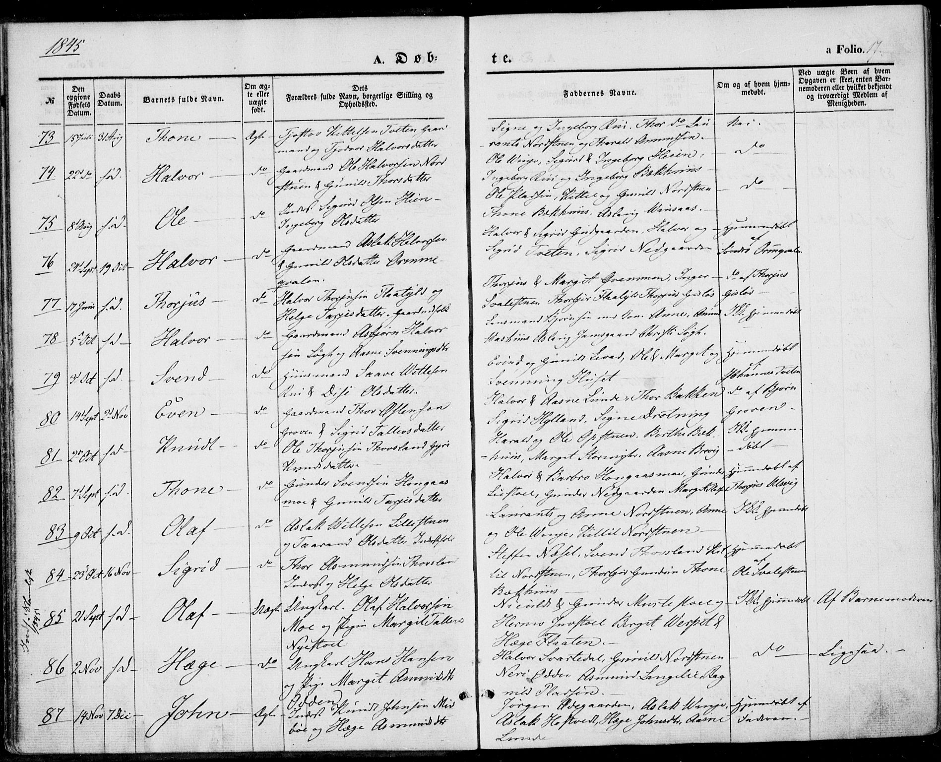 Vinje kirkebøker, SAKO/A-312/F/Fa/L0004: Parish register (official) no. I 4, 1843-1869, p. 17