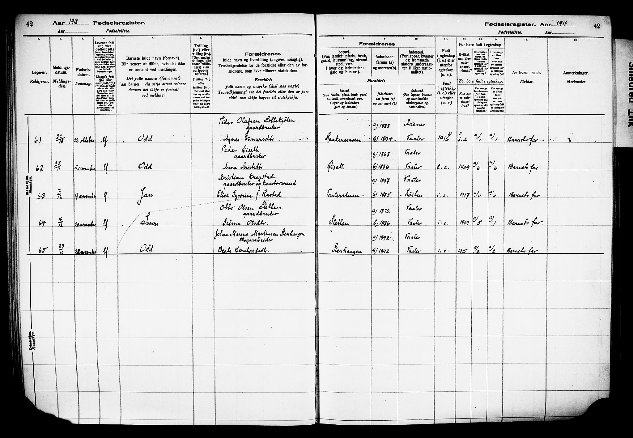 Våler prestekontor, Hedmark, AV/SAH-PREST-040/I/Id/L0001: Birth register no. 1, 1916-1930, p. 42