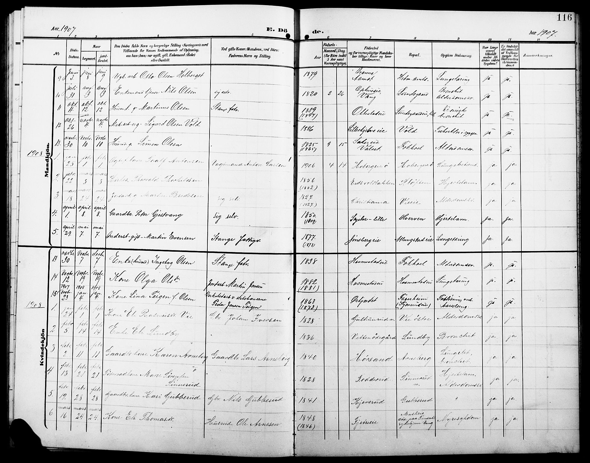 Stange prestekontor, SAH/PREST-002/L/L0013: Parish register (copy) no. 13, 1906-1915, p. 116