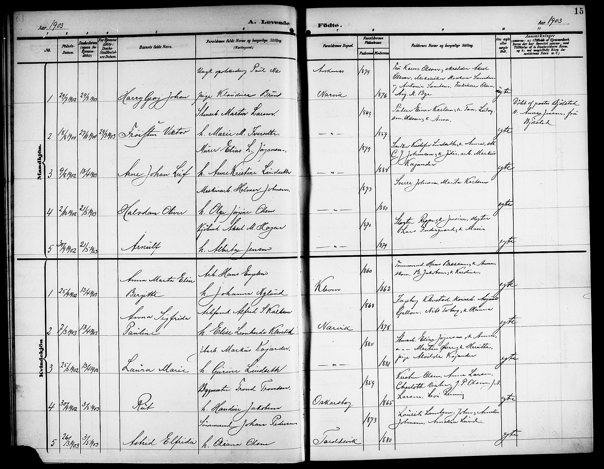 Ministerialprotokoller, klokkerbøker og fødselsregistre - Nordland, SAT/A-1459/871/L1012: Parish register (copy) no. 871C01, 1902-1909, p. 15