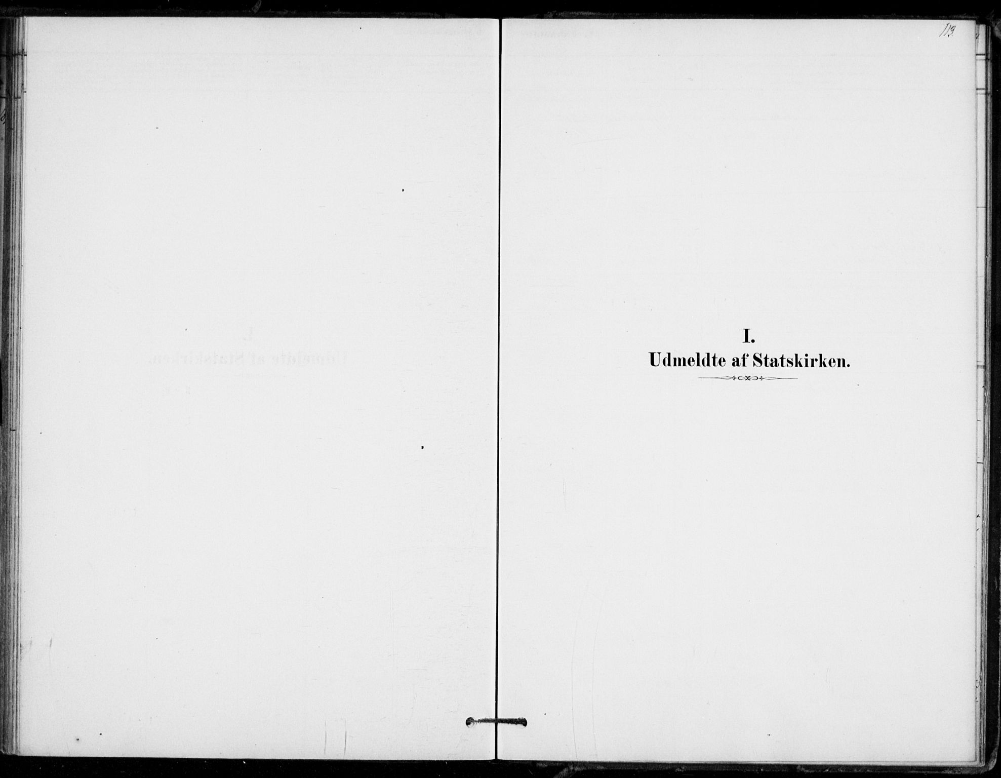 Hof kirkebøker, SAKO/A-64/F/Fb/L0001: Parish register (official) no. II 1, 1878-1907, p. 113