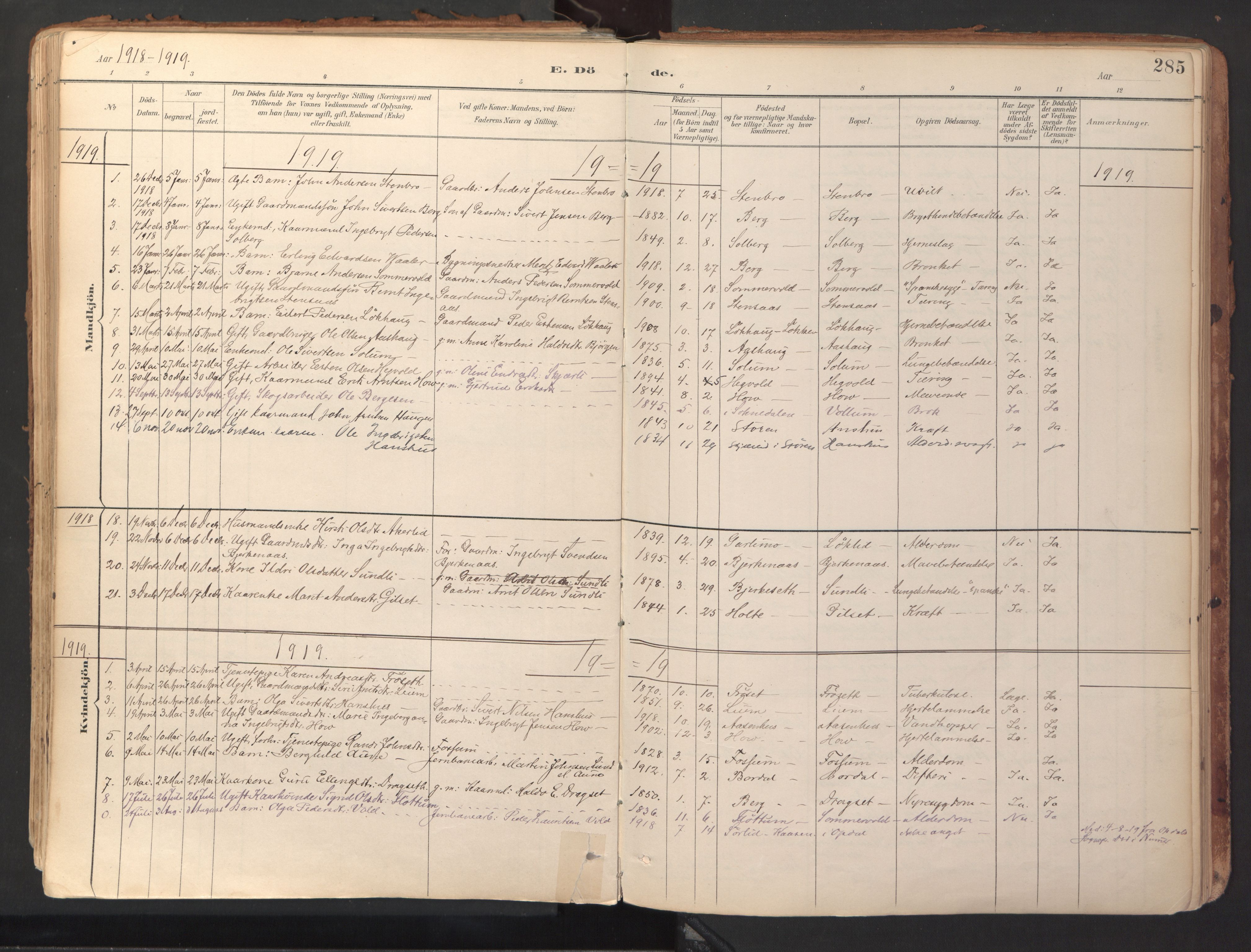 Ministerialprotokoller, klokkerbøker og fødselsregistre - Sør-Trøndelag, SAT/A-1456/689/L1041: Parish register (official) no. 689A06, 1891-1923, p. 285