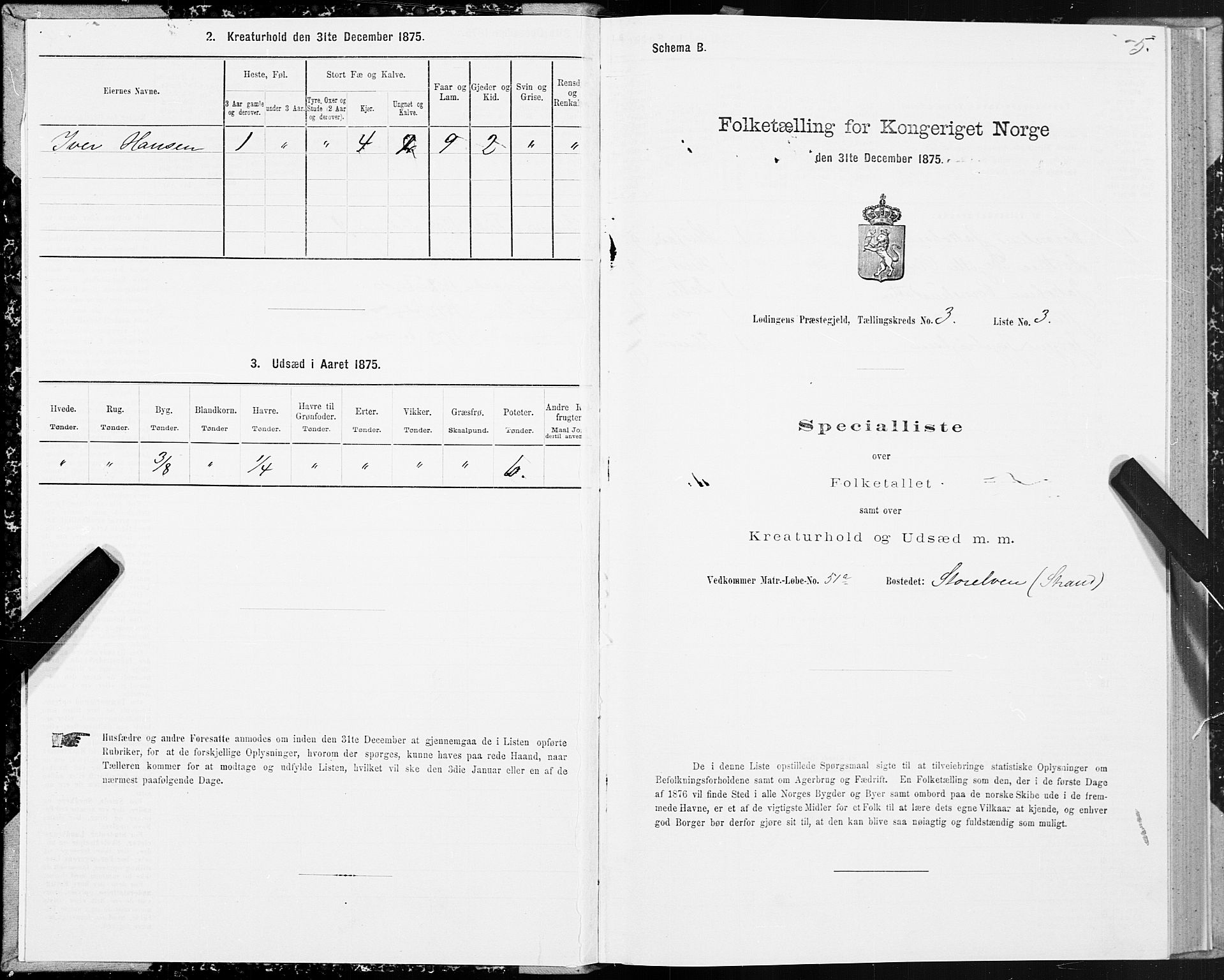 SAT, 1875 census for 1851P Lødingen, 1875, p. 2005