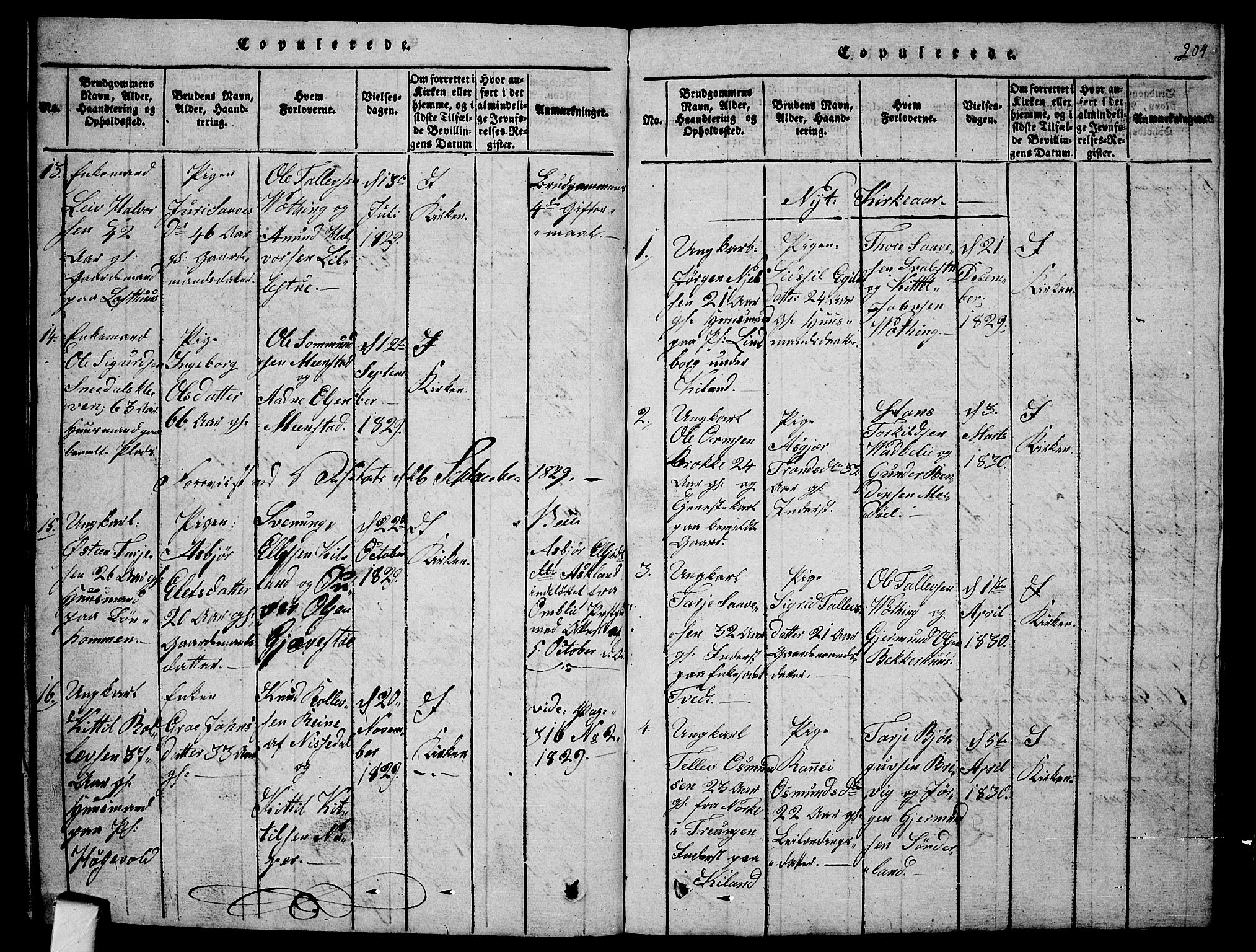 Fyresdal kirkebøker, SAKO/A-263/G/Ga/L0001: Parish register (copy) no. I 1, 1816-1840, p. 204