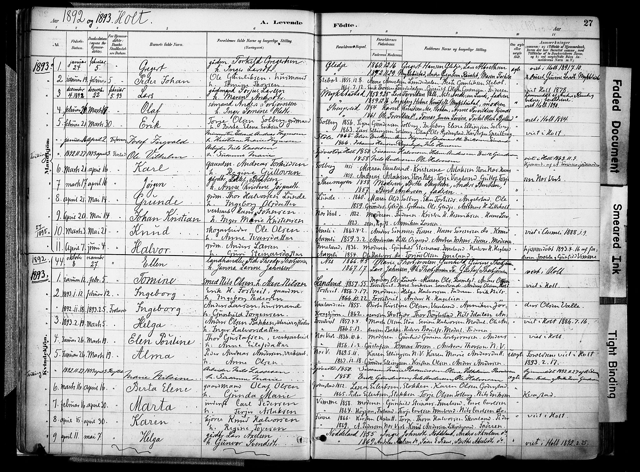 Holt sokneprestkontor, SAK/1111-0021/F/Fa/L0012: Parish register (official) no. A 12, 1885-1907, p. 27