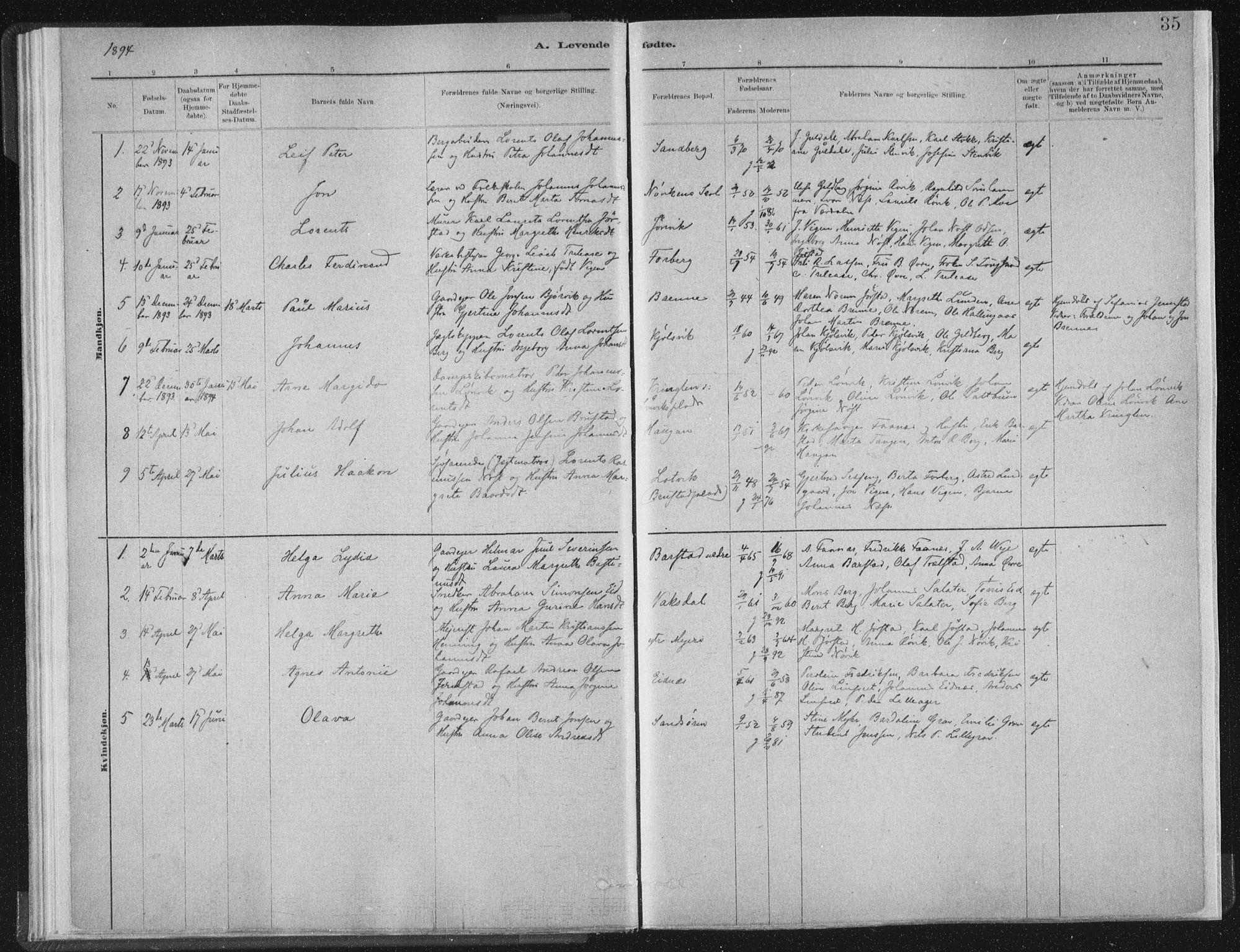 Ministerialprotokoller, klokkerbøker og fødselsregistre - Nord-Trøndelag, SAT/A-1458/722/L0220: Parish register (official) no. 722A07, 1881-1908, p. 35