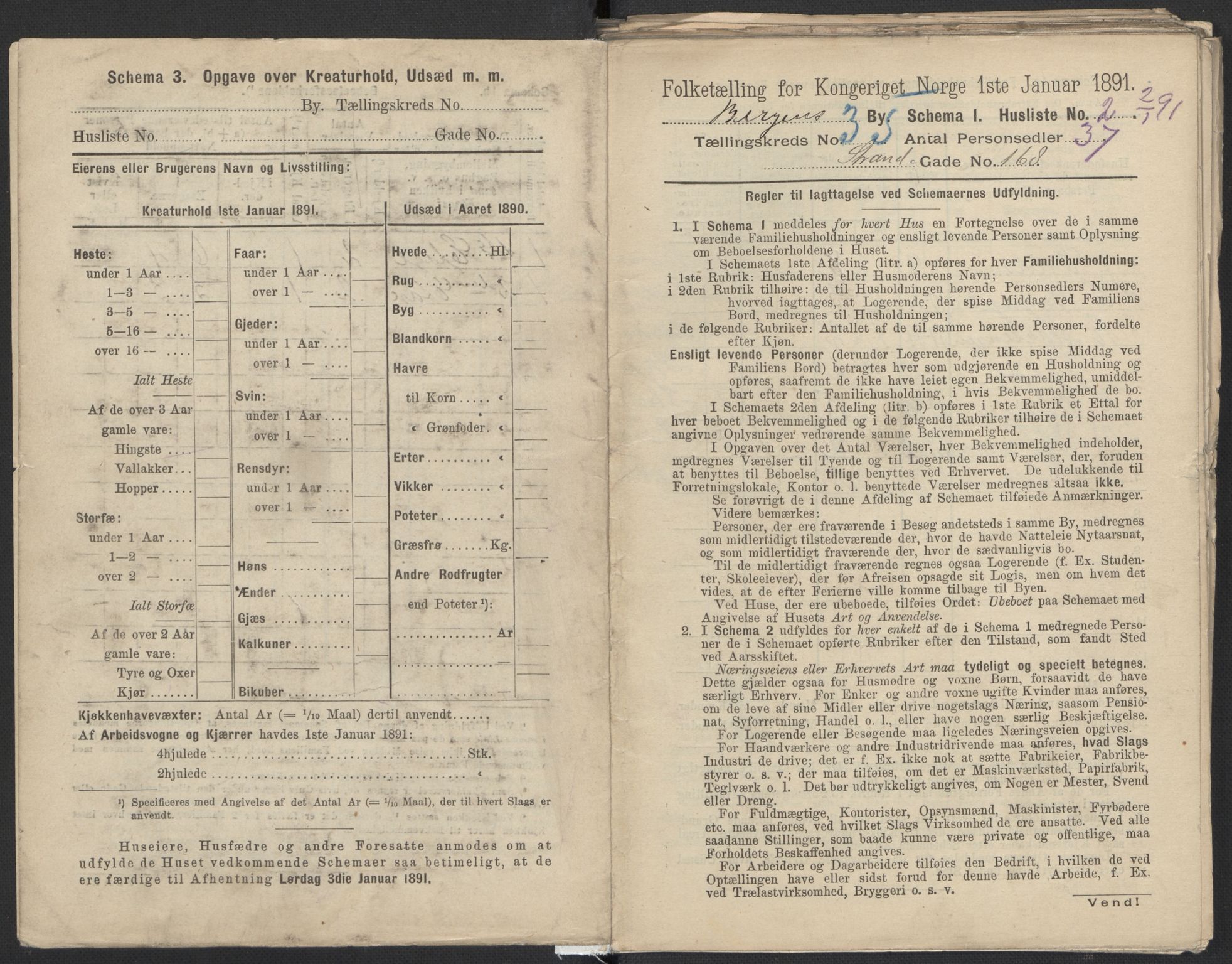 RA, 1891 Census for 1301 Bergen, 1891, p. 5608