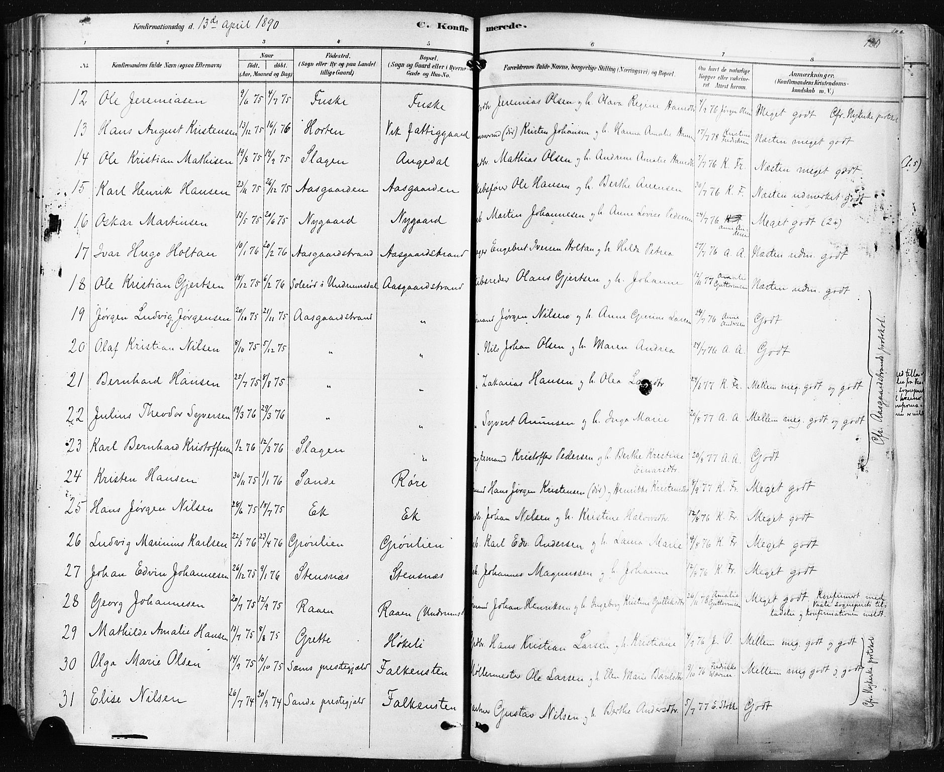 Borre kirkebøker, AV/SAKO-A-338/F/Fa/L0009: Parish register (official) no. I 9, 1878-1896, p. 120