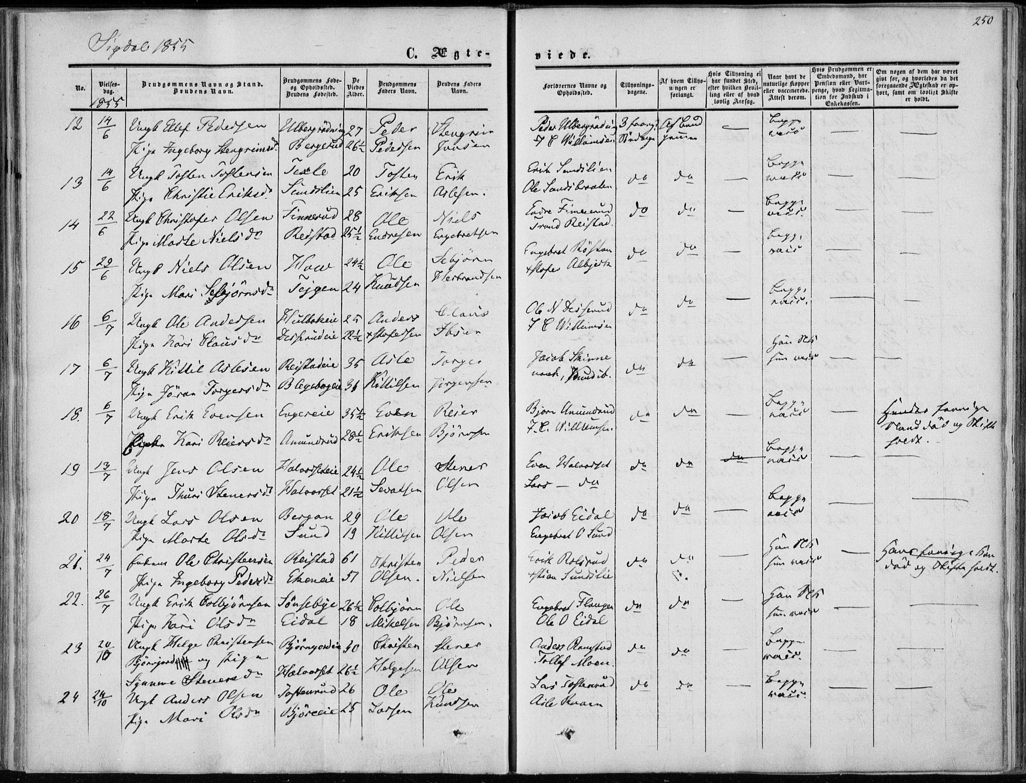 Sigdal kirkebøker, AV/SAKO-A-245/F/Fa/L0008: Parish register (official) no. I 8, 1850-1859, p. 250