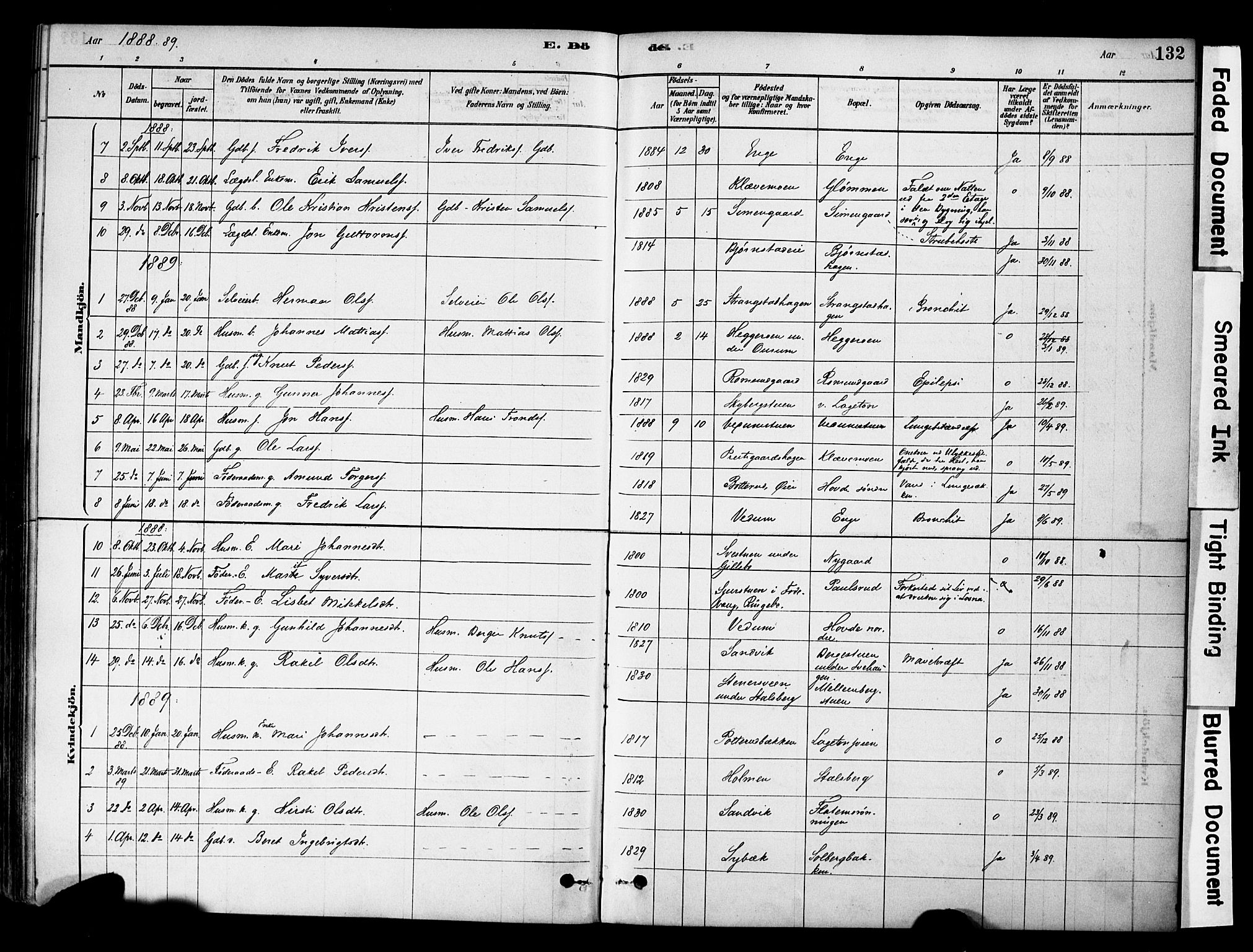 Øyer prestekontor, AV/SAH-PREST-084/H/Ha/Haa/L0009: Parish register (official) no. 9, 1878-1893, p. 132