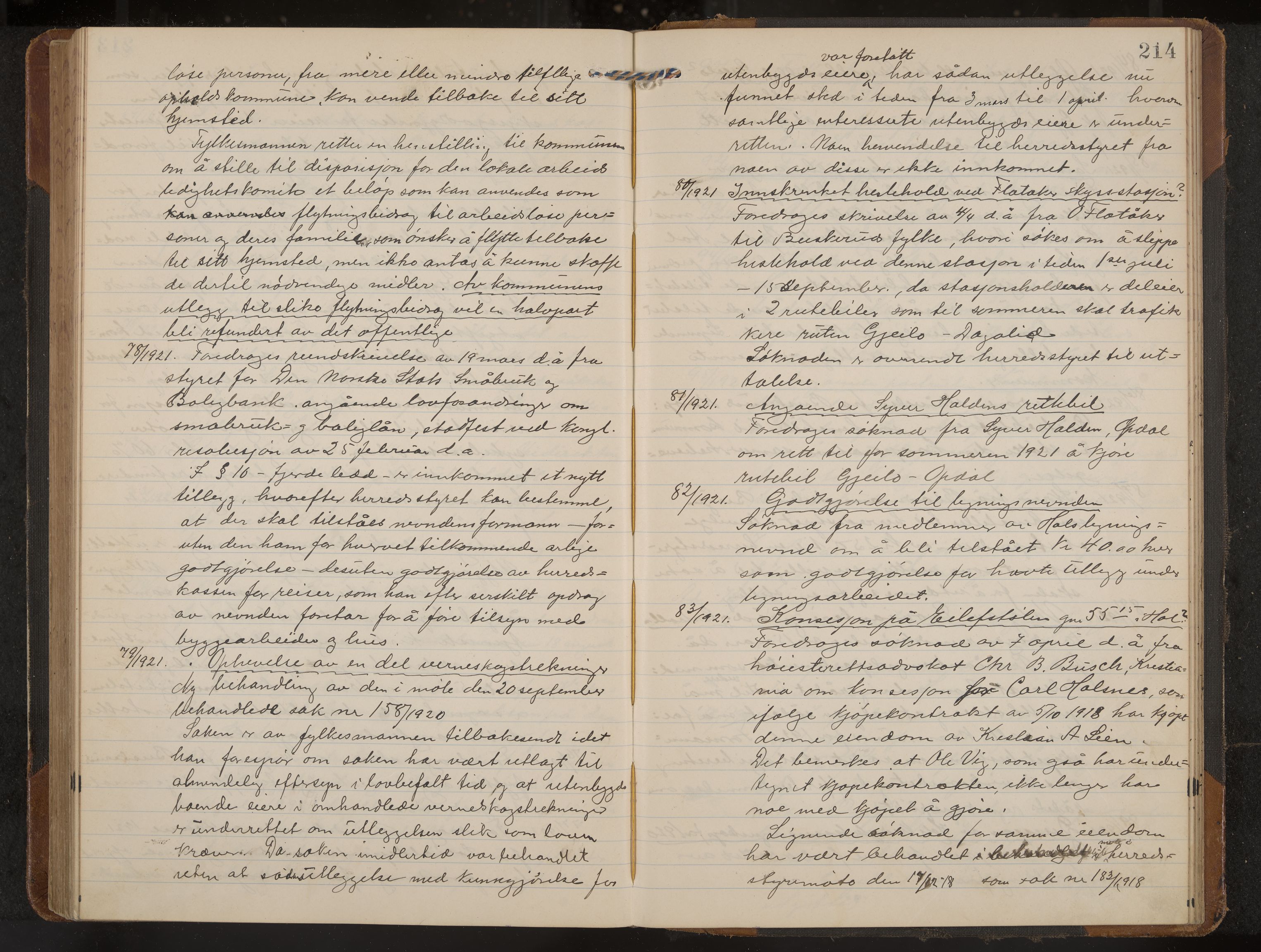 Hol formannskap og sentraladministrasjon, IKAK/0620021-1/A/L0006: Møtebok, 1916-1922, p. 214