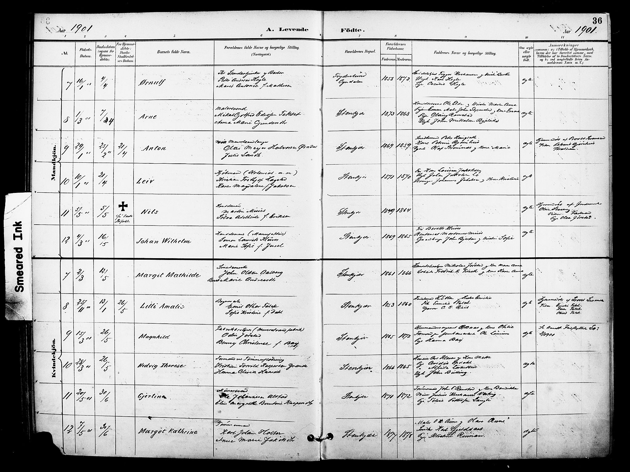 Ministerialprotokoller, klokkerbøker og fødselsregistre - Nord-Trøndelag, SAT/A-1458/739/L0372: Parish register (official) no. 739A04, 1895-1903, p. 36