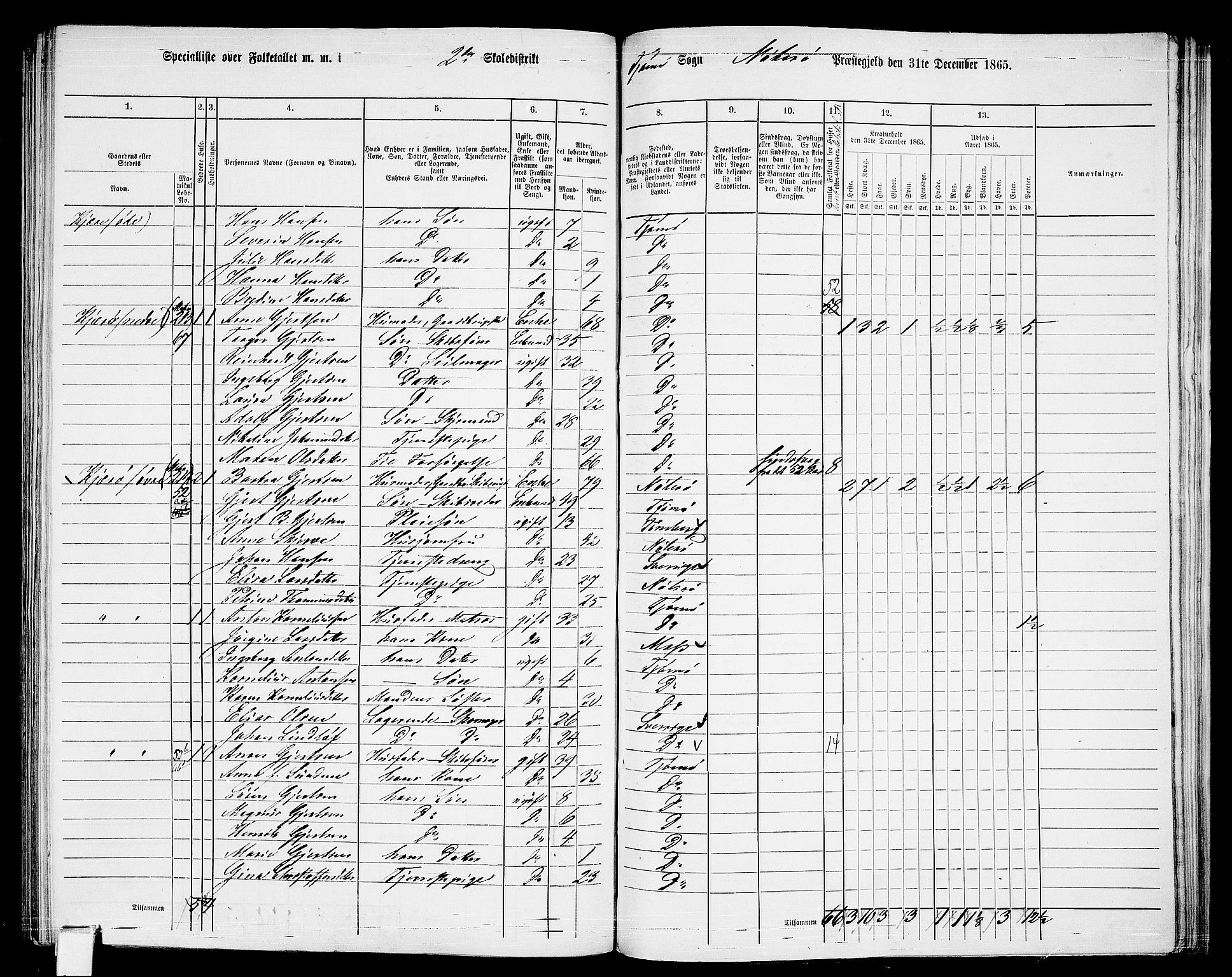 RA, 1865 census for Nøtterøy, 1865, p. 258