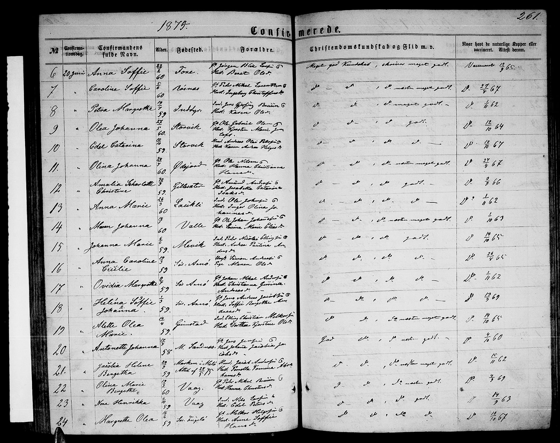 Ministerialprotokoller, klokkerbøker og fødselsregistre - Nordland, AV/SAT-A-1459/805/L0107: Parish register (copy) no. 805C03, 1862-1885, p. 261