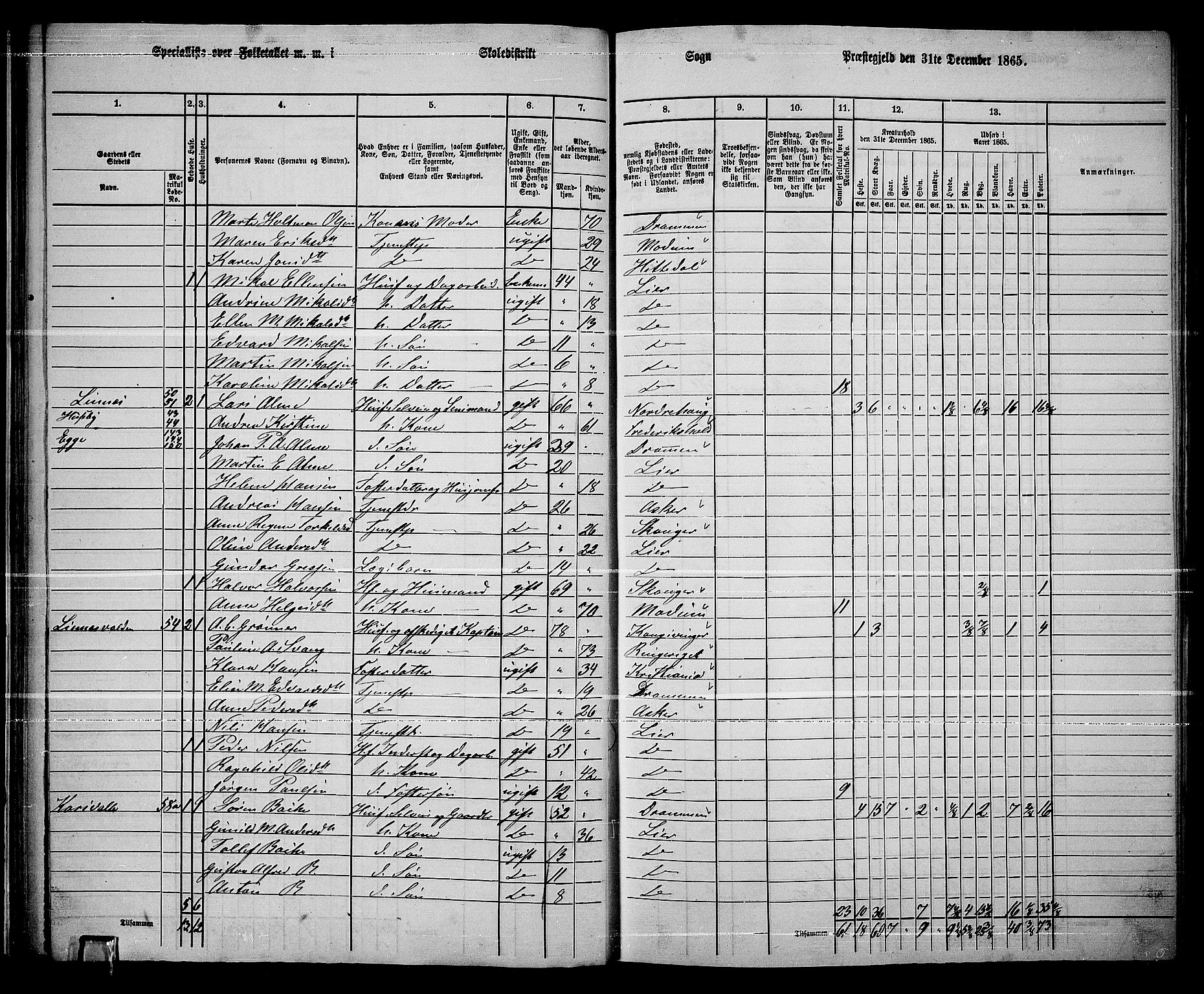 RA, 1865 census for Lier, 1865, p. 42