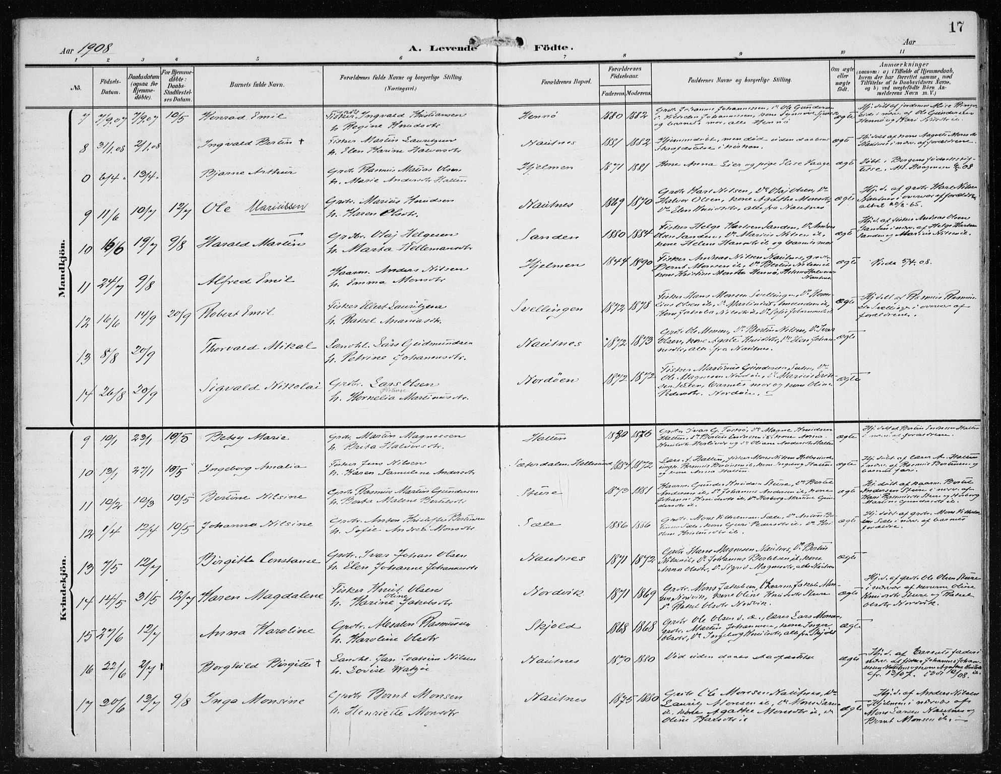 Herdla Sokneprestembete, AV/SAB-A-75701/H/Haa: Parish register (official) no. B 1, 1902-1921, p. 17