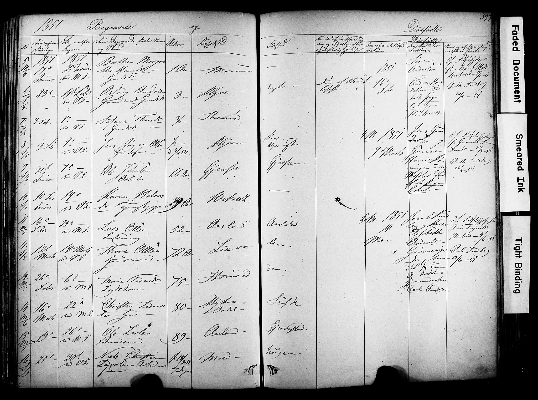 Solum kirkebøker, AV/SAKO-A-306/F/Fa/L0006: Parish register (official) no. I 6, 1844-1855, p. 397