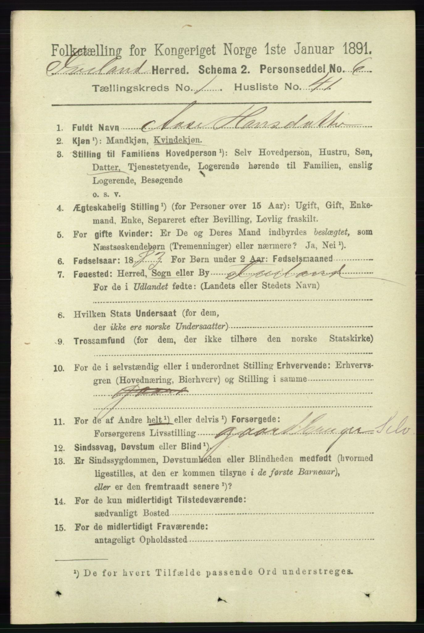 RA, 1891 census for 0935 Iveland, 1891, p. 360