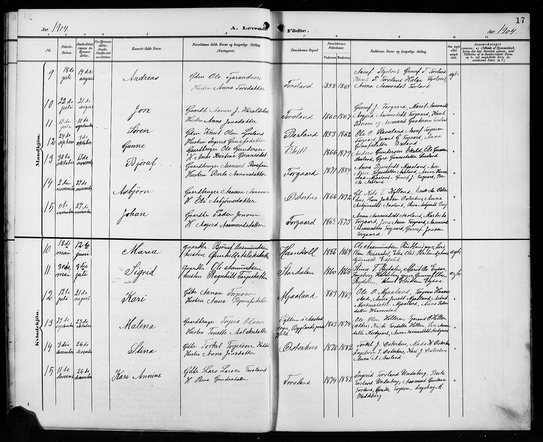 Åseral sokneprestkontor, SAK/1111-0051/F/Fb/L0003: Parish register (copy) no. B 3, 1900-1919, p. 17