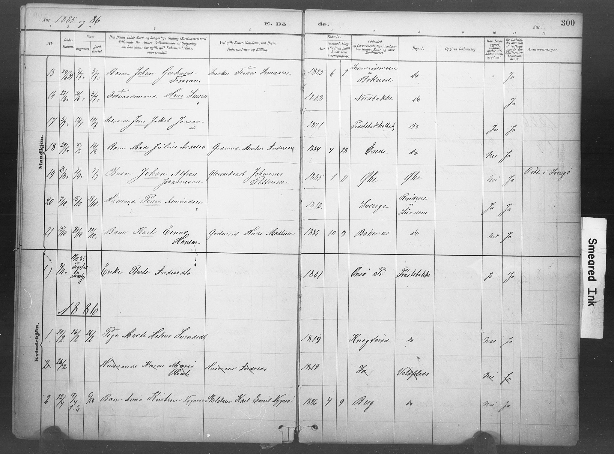 Idd prestekontor Kirkebøker, SAO/A-10911/F/Fb/L0002: Parish register (official) no. II 2, 1882-1923, p. 300