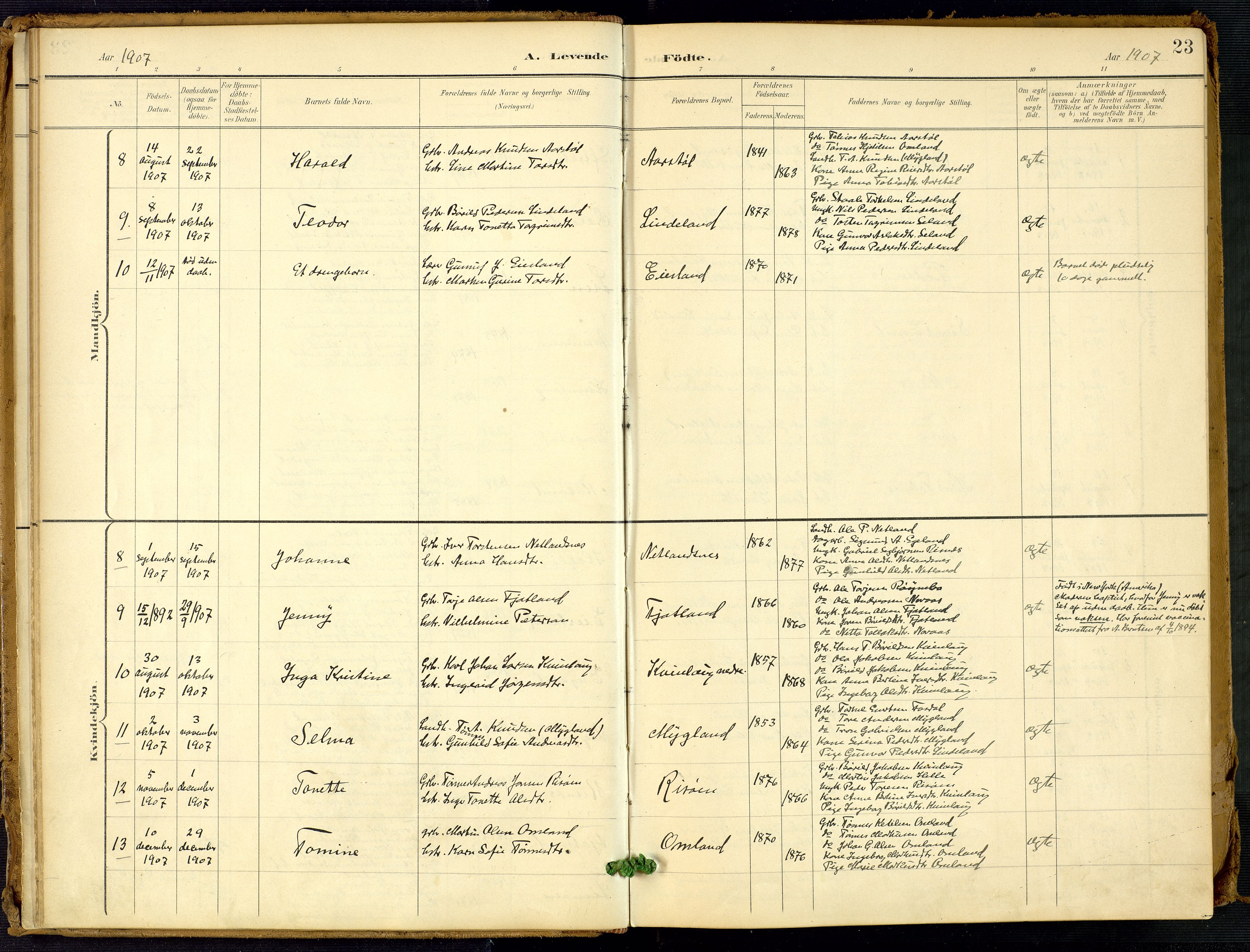 Fjotland sokneprestkontor, AV/SAK-1111-0010/F/Fa/L0003: Parish register (official) no. A 3, 1899-1917, p. 23