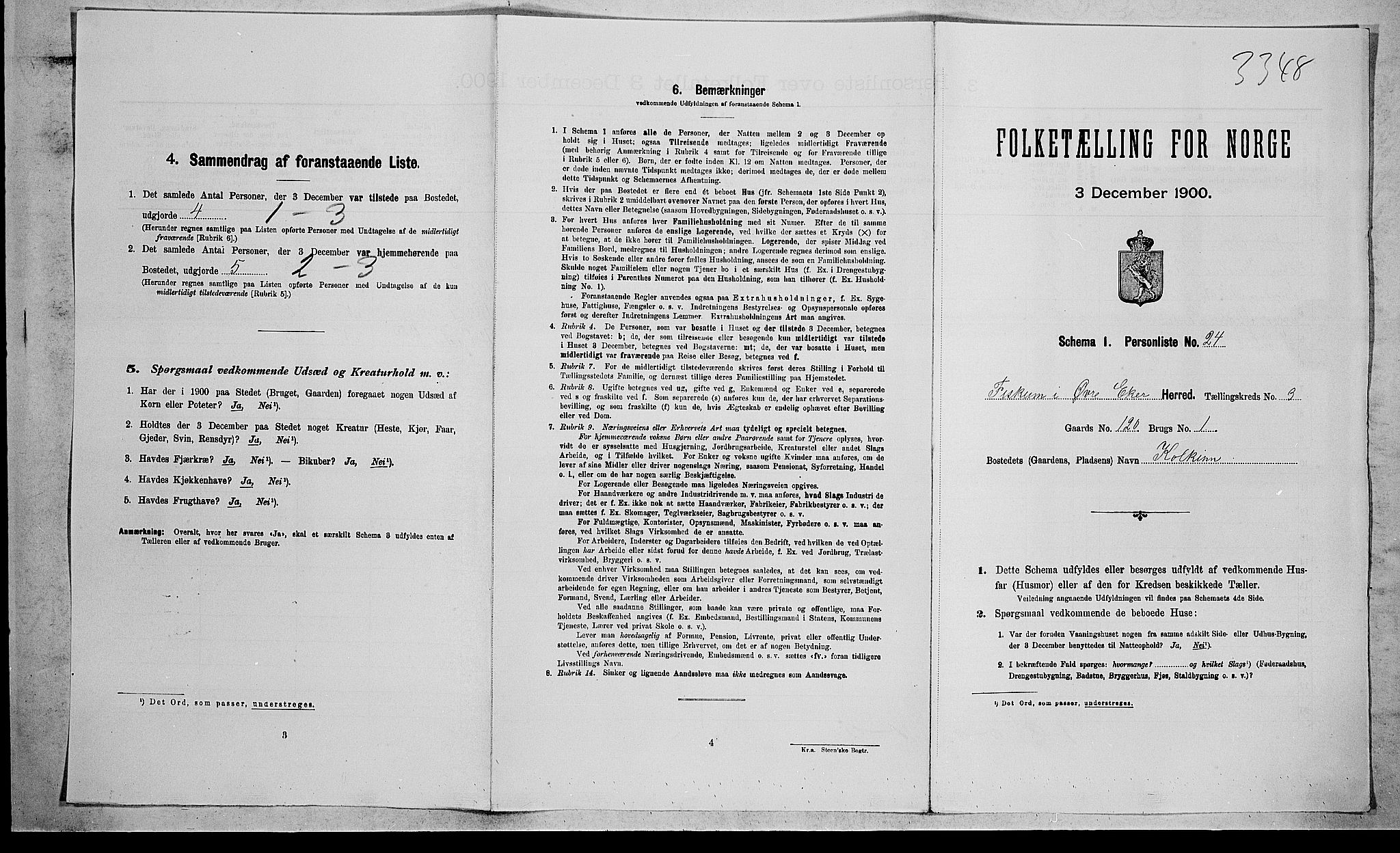 RA, 1900 census for Øvre Eiker, 1900, p. 2564