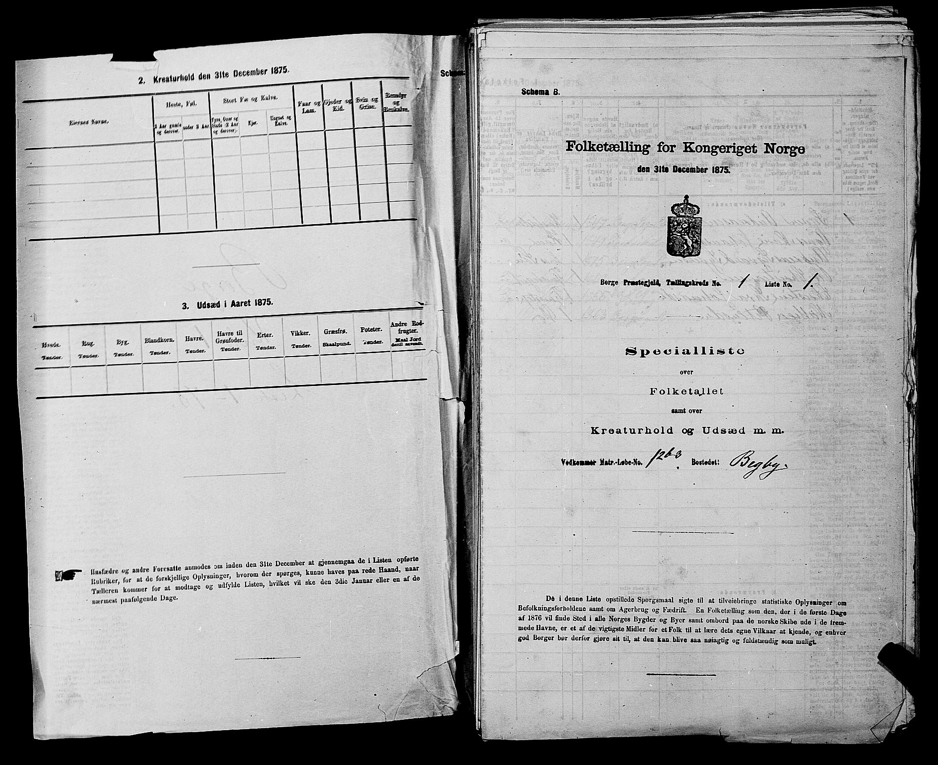 RA, 1875 census for 0113P Borge, 1875, p. 29