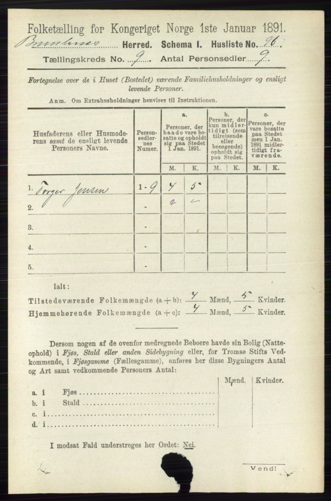 RA, 1891 census for 0726 Brunlanes, 1891, p. 4127